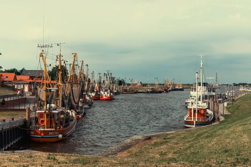 barcos de pesca no pesqueiro