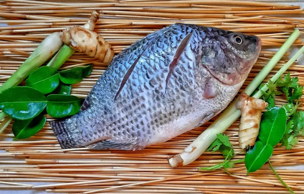 receita de preparo peixe tilápia